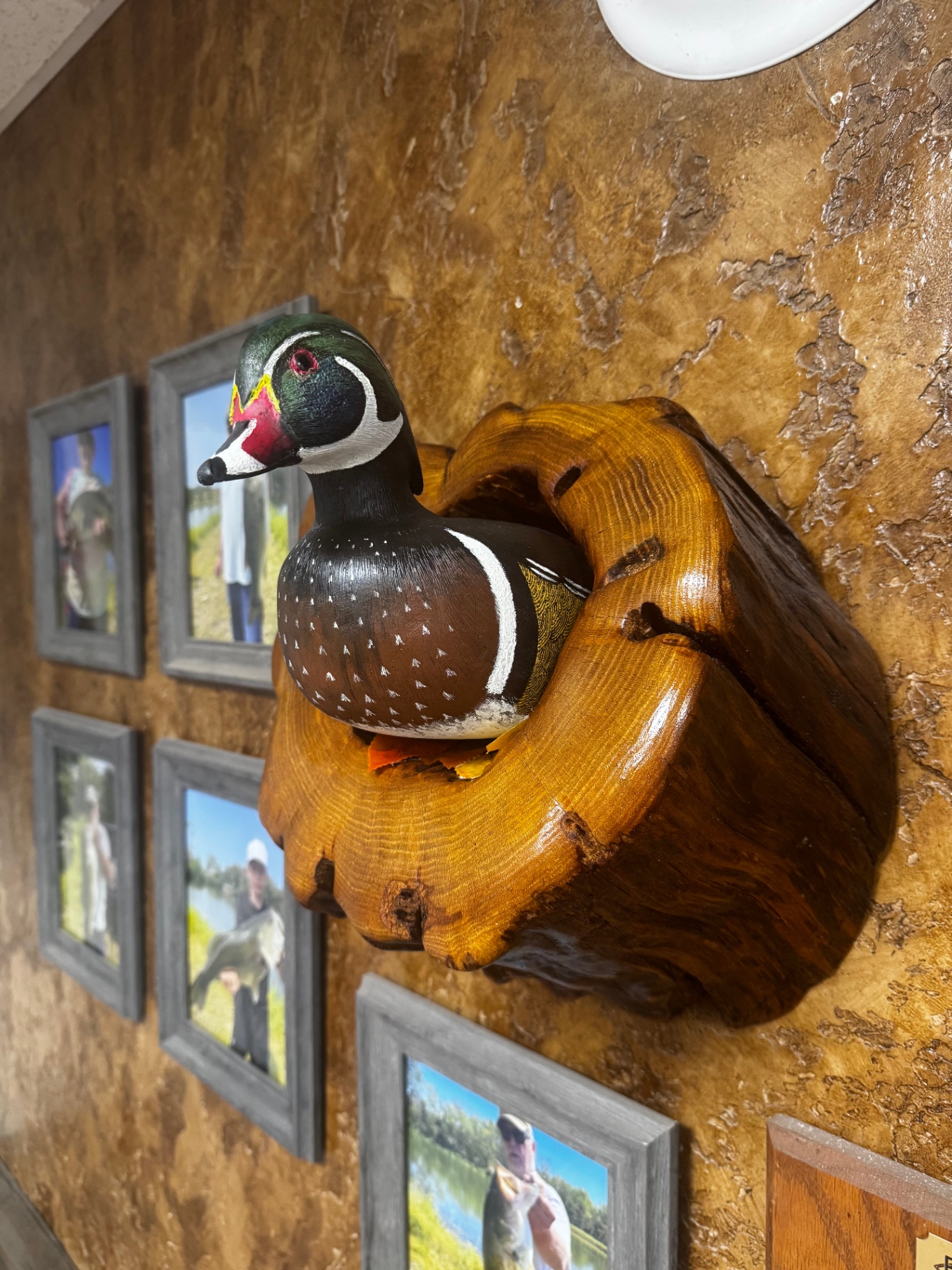 Hand carved wood duck drake mounted on a polished walnut burl